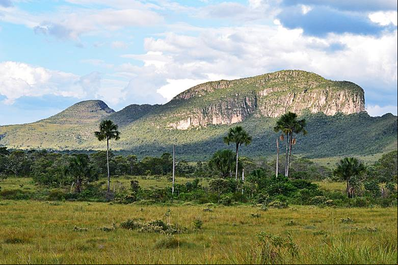 Chapada dos Veadeiros - Parque Nacional da Chapada dos Veadeiros - Alto Para
