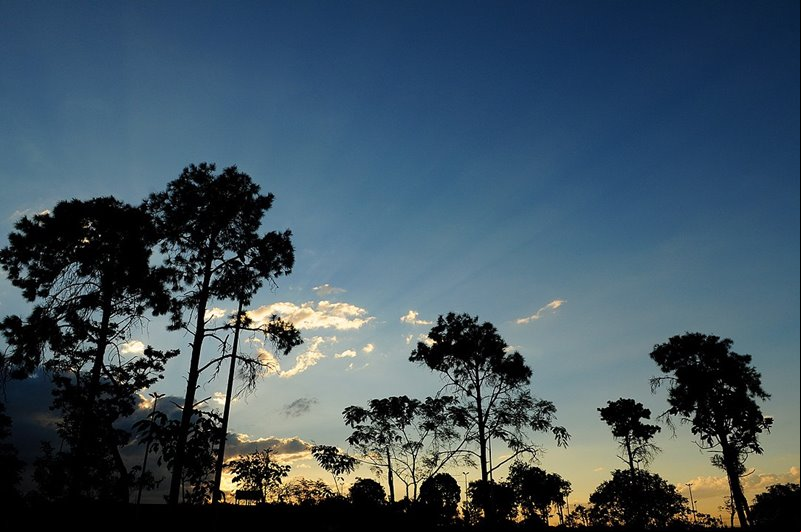 Parque Ecol