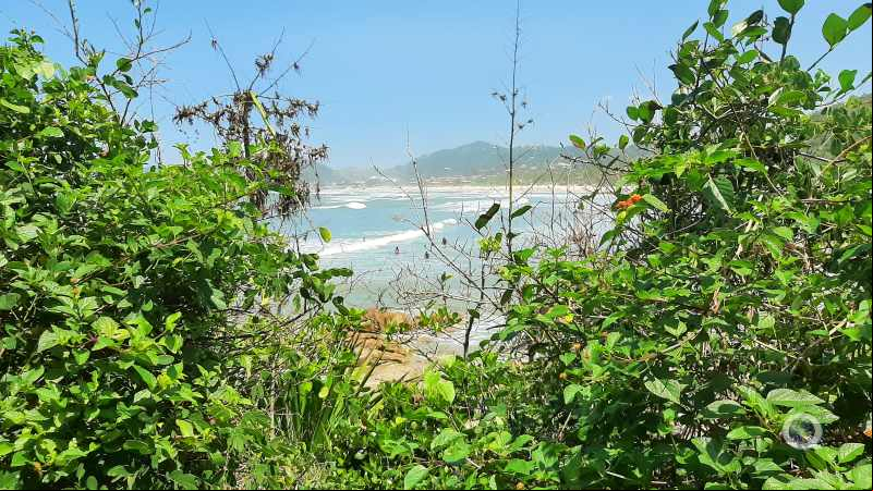 Praia do Rosa - Canto Norte - Imbituba - Litoral Catarinense - Estado de Santa Catarina - Regi