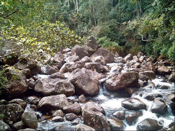 Viajar no feriado de Carnaval para a cidade de Itatiaia - Carnaval 2026 em Itatiaia - Parque Nacional do Itatiaia - Estado do Rio de Janeiro - Regi