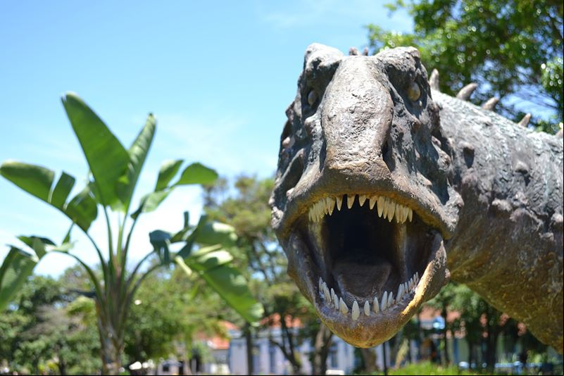 Museu dos Dinossauros - Peir