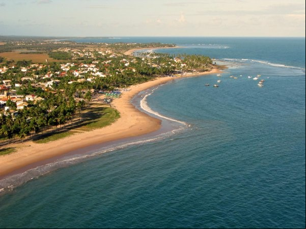  Saiba quais s