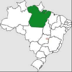 Mapa do Pará